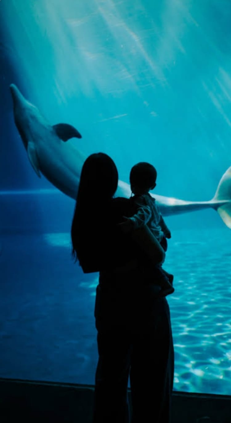 Porto Antico e Acquario